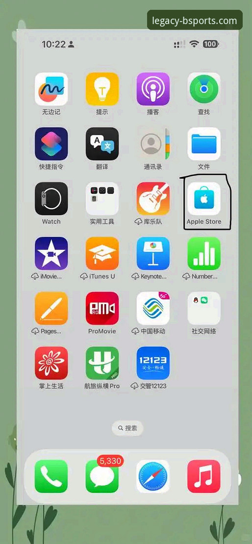 b体育官网下载苹果版：从旧版本到移动端的完整获取指南